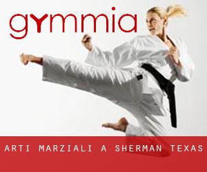 Arti marziali a Sherman (Texas)