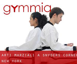 Arti marziali a Snyders Corner (New York)