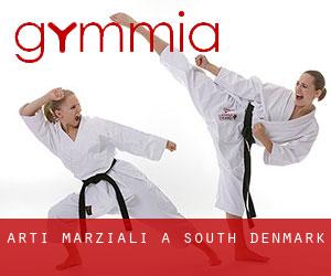 Arti marziali a South Denmark Arti marziali a South Denmark