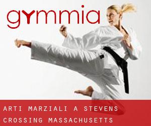 Arti marziali a Stevens Crossing (Massachusetts)