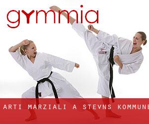 Arti marziali a Stevns Kommune Arti marziali a Stevns Kommune