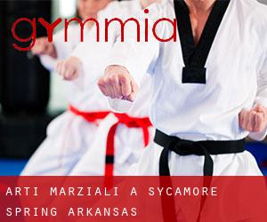 Arti marziali a Sycamore Spring (Arkansas)