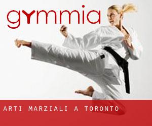 Arti marziali a Toronto