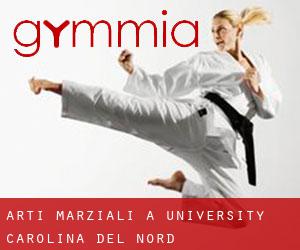 Arti marziali a University (Carolina del Nord)