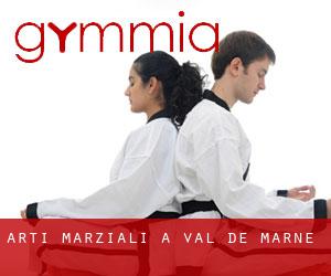 Arti marziali a Val-de-Marne Arti marziali a Val-de-Marne