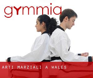Arti marziali a Wales