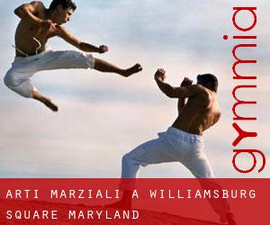 Arti marziali a Williamsburg Square (Maryland)