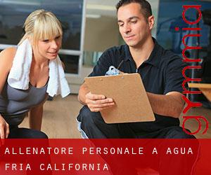 Allenatore personale a Agua Fria (California)