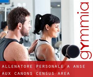 Allenatore personale a Anse-aux-Canons (census area)