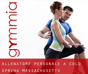 Allenatore personale a Cold Spring (Massachusetts)