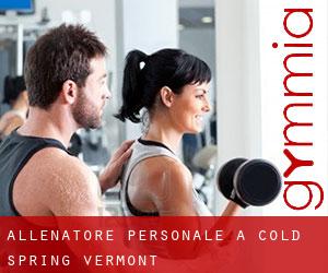 Allenatore personale a Cold Spring (Vermont)
