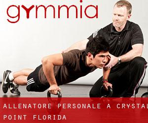 Allenatore personale a Crystal Point (Florida)