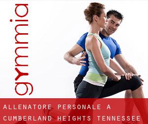 Allenatore personale a Cumberland Heights (Tennessee)