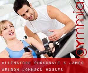 Allenatore personale a James Weldon Johnson Houses