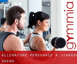 Allenatore personale a Jiangsu Sheng Allenatore personale a Jiangsu Sheng