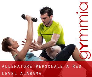 Allenatore personale a Red Level (Alabama)