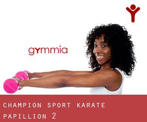 Champion Sport Karate (Papillion) #2