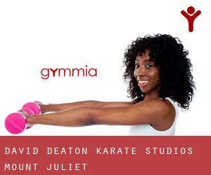 David Deaton Karate Studios (Mount Juliet)
