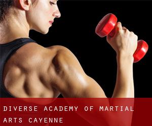 Diverse Academy of Martial Arts (Cayenne)