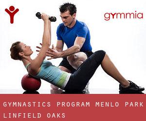 Gymnastics Program, Menlo Park (Linfield Oaks)