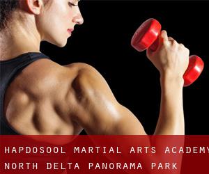 Hapdosool Martial Arts Academy-North Delta (Panorama Park)