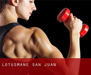 Lotusmane (San Juan)