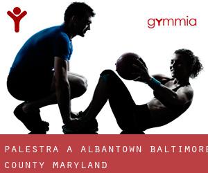 palestra a Albantown (Baltimore County, Maryland)
