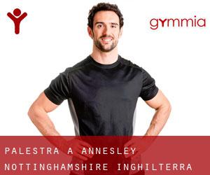 palestra a Annesley (Nottinghamshire, Inghilterra)