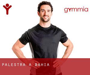 palestra a Bahia palestra a Bahia
