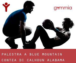 palestra a Blue Mountain (Contea di Calhoun, Alabama)