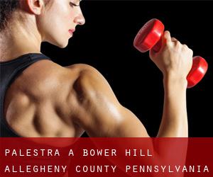 palestra a Bower Hill (Allegheny County, Pennsylvania)