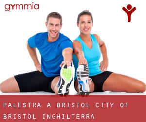 palestra a Bristol (City of Bristol, Inghilterra) palestra a Bristol (City of Bristol, Inghilterra)