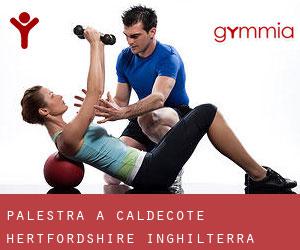 palestra a Caldecote (Hertfordshire, Inghilterra)