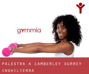 palestra a Camberley (Surrey, Inghilterra)