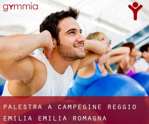 palestra a Campegine (Reggio Emilia, Emilia-Romagna)