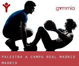 palestra a Campo Real (Madrid, Madrid)