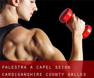 palestra a Capel Seion (Cardiganshire County, Galles)