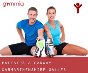 palestra a Carway (Carmarthenshire, Galles)