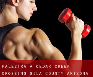 palestra a Cedar Creek Crossing (Gila County, Arizona)