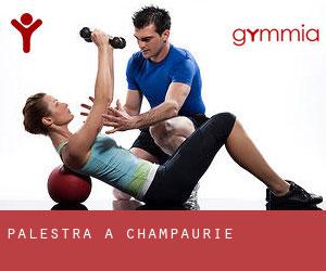 palestra a Champaurie