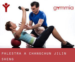 palestra a Changchun (Jilin Sheng) palestra a Changchun (Jilin Sheng)