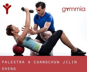 palestra a Changchun (Jilin Sheng)