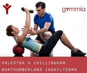 palestra a Chillingham (Northumberland, Inghilterra)
