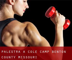 palestra a Cole Camp (Benton County, Missouri)