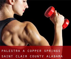 palestra a Copper Springs (Saint Clair County, Alabama)