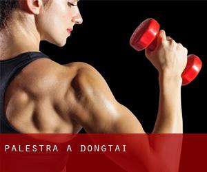 palestra a Dongtai palestra a Dongtai
