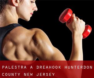 palestra a Dreahook (Hunterdon County, New Jersey)