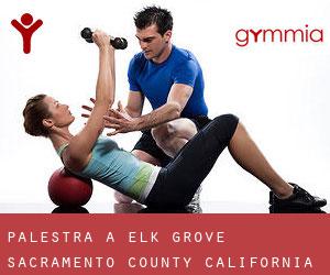 palestra a Elk Grove (Sacramento County, California) palestra a Elk Grove (Sacramento County, California)