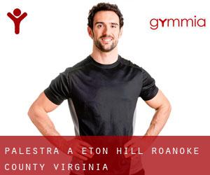 palestra a Eton Hill (Roanoke County, Virginia) palestra a Eton Hill (Roanoke County, Virginia)
