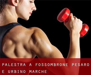 palestra a Fossombrone (Pesaro e Urbino, Marche)